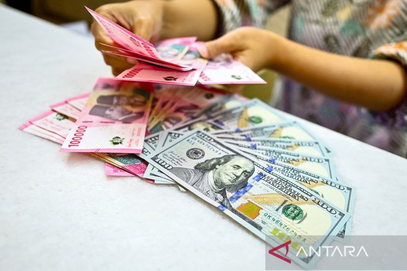Petugas menghitung uang pecahan Dolar AS dan Rupiah di gerai penukaran mata uang asing di Jakarta, Jumat (2/1/2025). (ANTARA FOTO/Rivan Awal Lingga/foc/aa)
