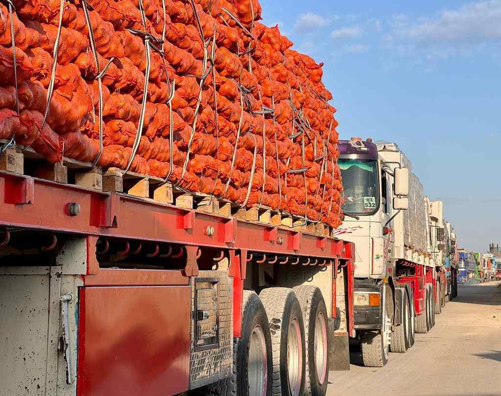 Truk bantuan kemanusiaan mengantre di perbatasan Gaza. Foto: x.com/@IsraelMFA
