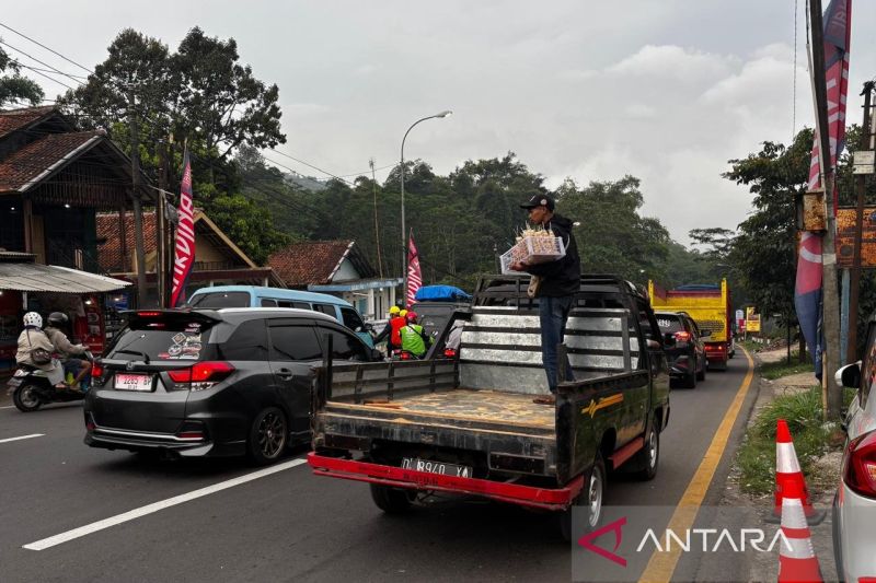 Situasi kepadatan pemudik di Jalur Nagreg, Kabupaten Bandung, Jawa Barat, Sabtu (5/4/2025). (ANTARA/Rubby Jovan)