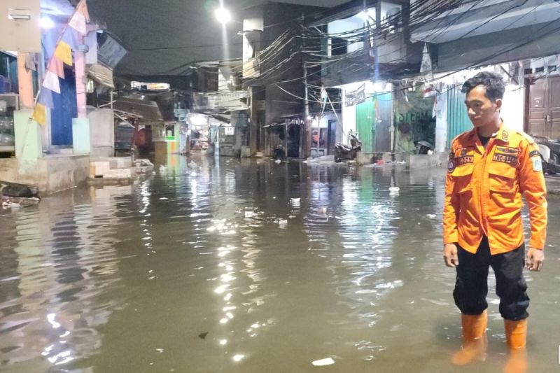 Petugas BPBD DKI Jakarta meninjau ketinggian air akibat banjir rob di kawasan Penjaringan Jakarta Utara pada Selasa (29/4/2025) ANTARA/HO-BPBD DKI