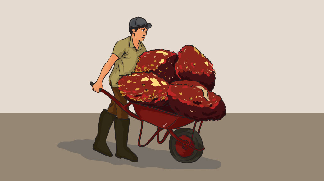 Ilustrasi - Industri Kelapa Sawit. (Fakta.com/Putut Pramudiko)